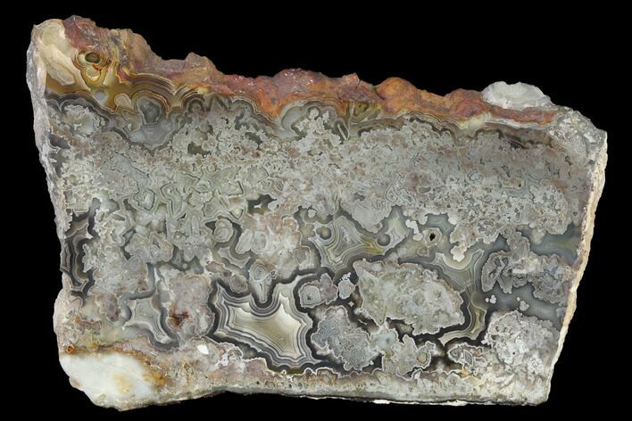 Polished Crazy Lace Agate Slab - Mexico #141197